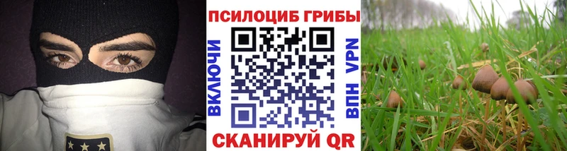 купить  сайты  Новоульяновск  Галлюциногенные грибы MAGIC MUSHROOMS 